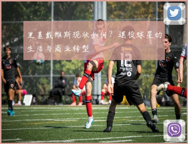里基戴维斯现状如何?退役球星的生活与商业转型