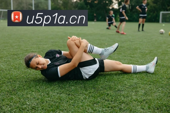 leyu乐鱼手机官网入口发展历程