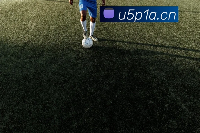 里基戴维斯现状如何?退役球星的生活与商业转型